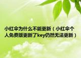 小红伞为什么不能更新（小红伞个人免费版更新了key仍然无法更新）
