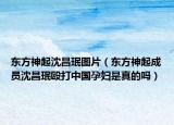 东方神起沈昌珉图片（东方神起成员沈昌珉殴打中国孕妇是真的吗）