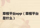 草根平台app（草根平台是什么）