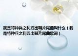 我是特种兵之利刃出鞘片尾曲叫什么（我是特种兵之利刃出鞘片尾曲歌词）