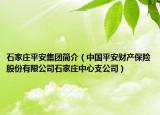 石家庄平安集团简介（中国平安财产保险股份有限公司石家庄中心支公司）