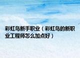 彩虹岛新手职业（彩虹岛的新职业工程师怎么加点好）