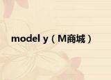 model y（M商城）