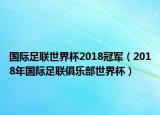 国际足联世界杯2018冠军（2018年国际足联俱乐部世界杯）