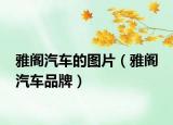 雅阁汽车的图片（雅阁 汽车品牌）