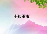十和田市