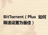 BitTorrent（Plus  如何限速设置为最佳）