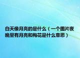 白天像月亮的是什么（一个图片夜晚里有月亮和梅花是什么意思）
