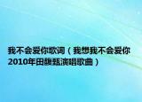 我不会爱你歌词（我想我不会爱你 2010年田馥甄演唱歌曲）