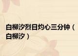白柳汐烈日灼心三分钟（白柳汐）