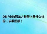 DNF中的邪龙之脊带上是什么样的（求截图额）