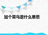 加个菜鸟是什么意思