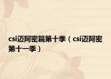 csi迈阿密篇第十季（csi迈阿密第十一季）