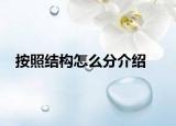 按照结构怎么分介绍