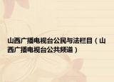 山西广播电视台公民与法栏目（山西广播电视台公共频道）
