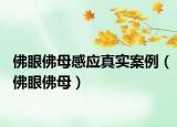 佛眼佛母感应真实案例（佛眼佛母）