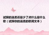 试探的温柔还是少了点什么是什么歌（试探你的温柔的歌词文本）