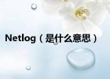 Netlog（是什么意思）