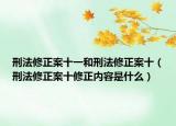 刑法修正案十一和刑法修正案十（刑法修正案十修正内容是什么）