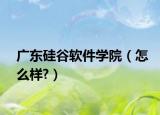 广东硅谷软件学院（怎么样?）