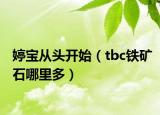婷宝从头开始（tbc铁矿石哪里多）