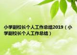 小学副校长个人工作总结2019（小学副校长个人工作总结）