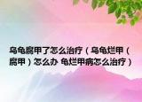 乌龟腐甲了怎么治疗（乌龟烂甲（腐甲）怎么办 龟烂甲病怎么治疗）