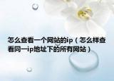 怎么查看一个网站的ip（怎么样查看同一ip地址下的所有网站）