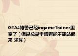 GTA4特警已经ingameTrainer里变了（但是总是半蹲着能不能站起来 求解）