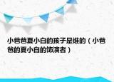 小爸爸夏小白的孩子是谁的（小爸爸的夏小白的饰演者）