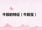 牛股的特征（牛股宝）