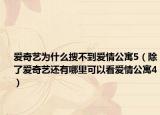 爱奇艺为什么搜不到爱情公寓5（除了爱奇艺还有哪里可以看爱情公寓4）