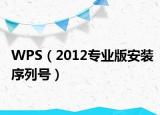 WPS（2012专业版安装序列号）