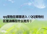 qq宠物在哪里进入（QQ宠物社区里油桶在什么地方）