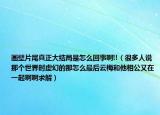 画壁片尾真正大结局是怎么回事啊!!（很多人说那个世界时虚幻的那怎么最后云梅和他相公又在一起啊啊求解）