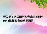 春天里（旭日阳刚在春晚唱的那个MP3链接放在空间里面的）