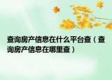 查询房产信息在什么平台查（查询房产信息在哪里查）