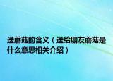 送蘑菇的含义（送给朋友蘑菇是什么意思相关介绍）
