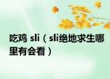 吃鸡 sli（sli绝地求生哪里有会看）