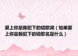 爱上你是我犯下的错歌词（如果爱上你是我犯下的错歌名是什么）