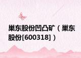 巢东股份凹凸矿（巢东股份[600318]）