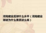 河南建业足球什么水平（河南建业球迷为什么素质这么低）