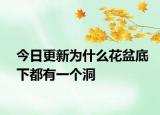 今日更新为什么花盆底下都有一个洞
