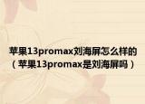苹果13promax刘海屏怎么样的（苹果13promax是刘海屏吗）