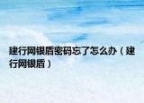 建行网银盾密码忘了怎么办（建行网银盾）