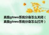 真我gtneo系统分身怎么关闭（真我gtneo系统分身怎么打开）