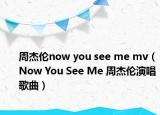 周杰伦now you see me mv（Now You See Me 周杰伦演唱歌曲）