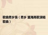 歌曲思乡情（思乡 望海高歌演唱歌曲）