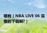 哪有（NBA LIVE 06 完整的下载啊?）