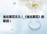金达莱花文儿（《金达莱花》的歌词）